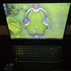 MSI RAIDER GE78 HX 13V Gaming Laptop