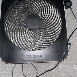 Fan
