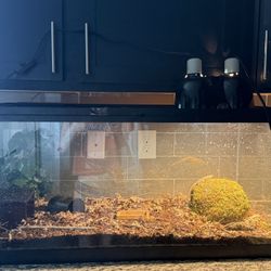 Terrarium