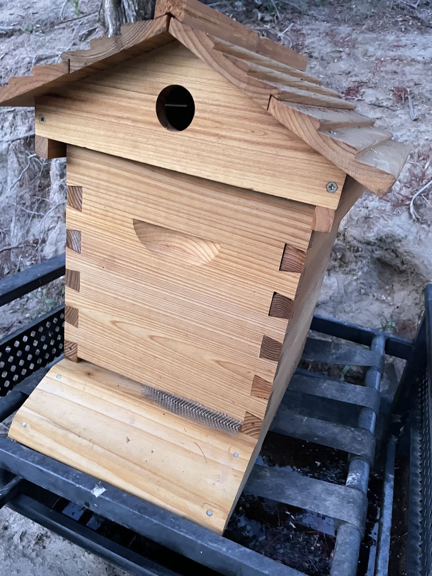 Bee Home With Bee Hive And Queen Included