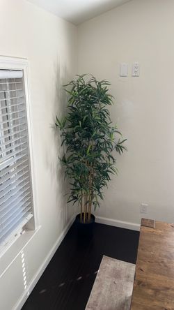 Large Artificial Bamboo Tree in Black Pot