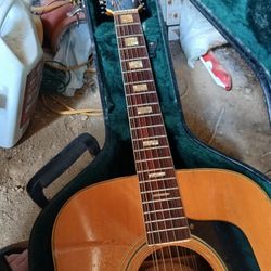 I Got Nice  Guitar  12. String  I Trade For Good Sigma 