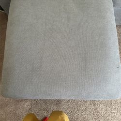 Small Love Seat With Moveable Ottoman