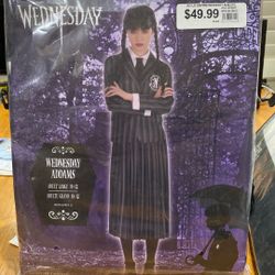 Halloween Costume—WEDNESDAY ADDAMS