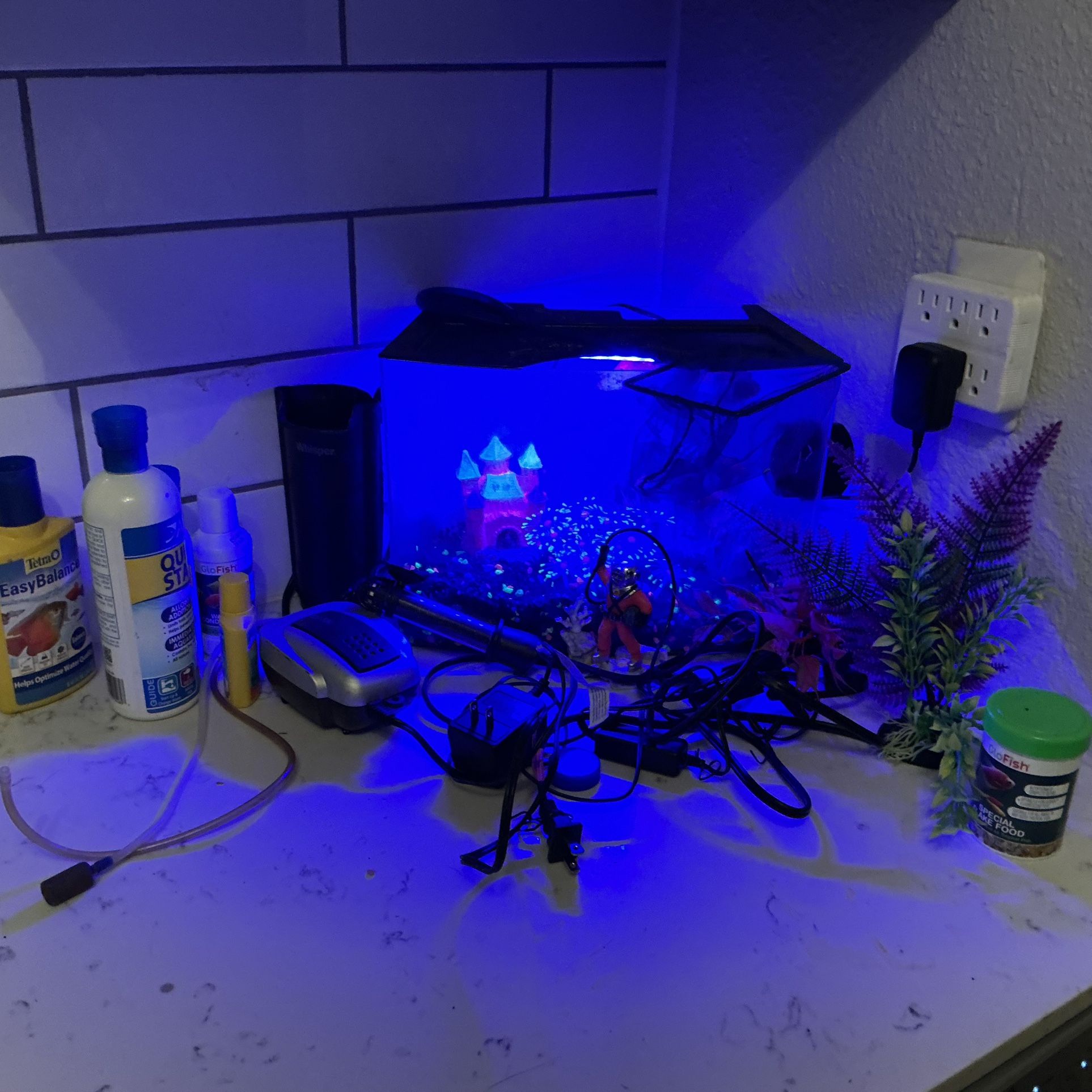 7 Gallon GLO FISH Aquarium Starter Kit W Air Pump And Filter And Accessories