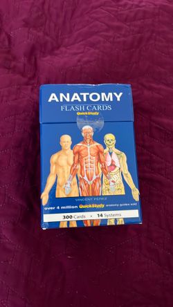 Anatomy flashbacks