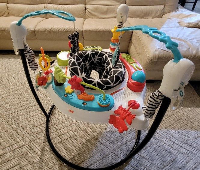 Fisher-Price Jumperoo Baby Jumper