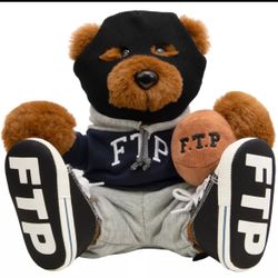 FTP Teddy Bear 