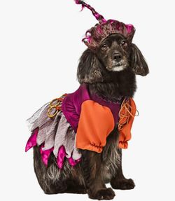 Rubie's Disney Hocus Pocus Mary Sanderson Pet Costume and Wig New (Medium)