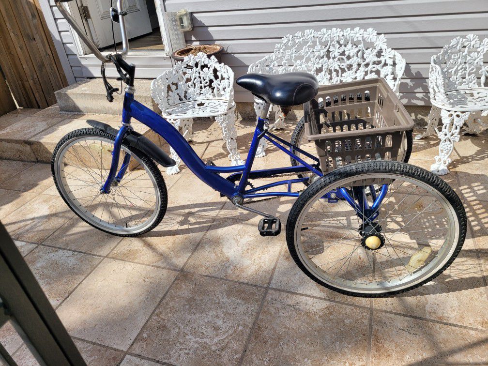 Adult Trike Bicycle 
