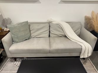Light Gray Sofa – Professionally Cleaned