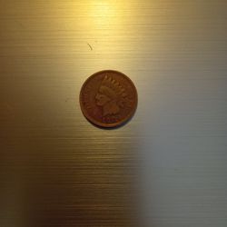 Indian Head Penny 1904