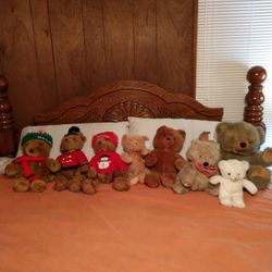 Lovable Teddy Bears Needs A Good Home