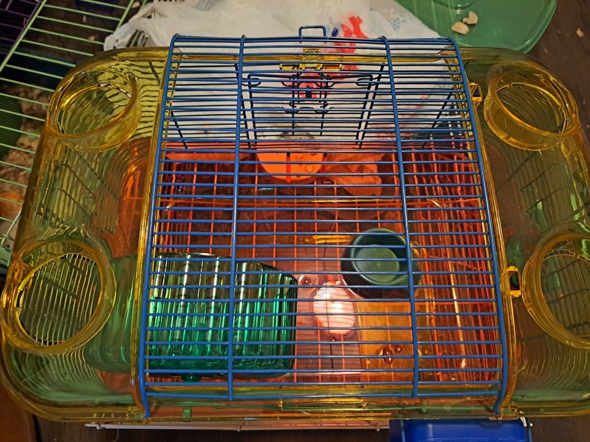 Hamster Cage 