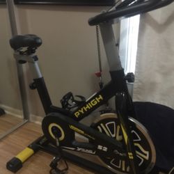 Pyhigh Youthful S2 Exercise Bike