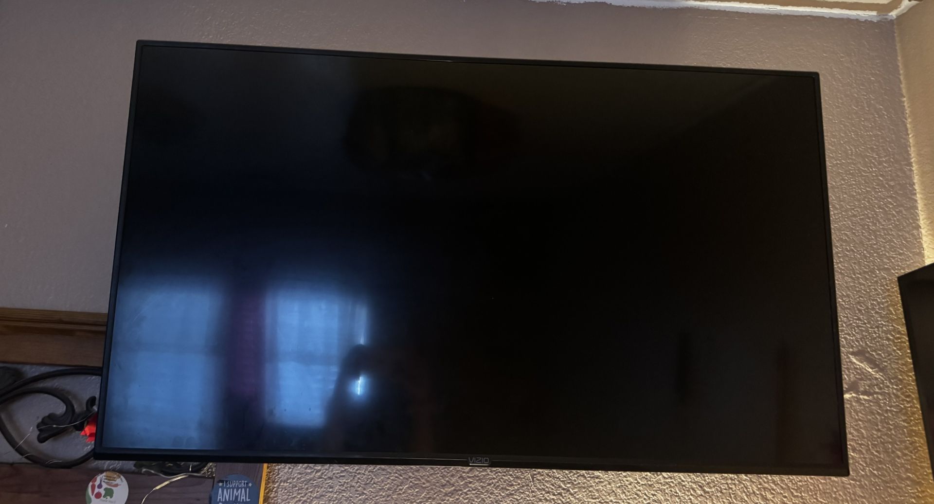 50 Inch Tv Vizio