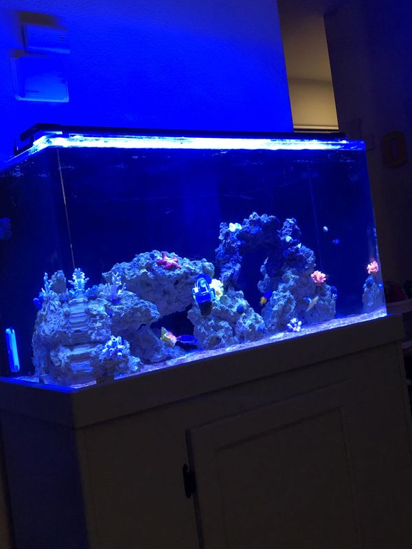 best wavemaker for 75 gallon best wavemaker for 75 gallon