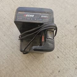 Echo 58 Volt Battery Charger