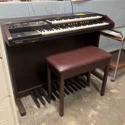 Organ 