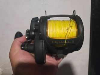 Penn 60 Lever drag - seized drag