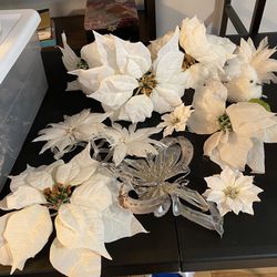White Poinsetta Flowers In Various Sizes