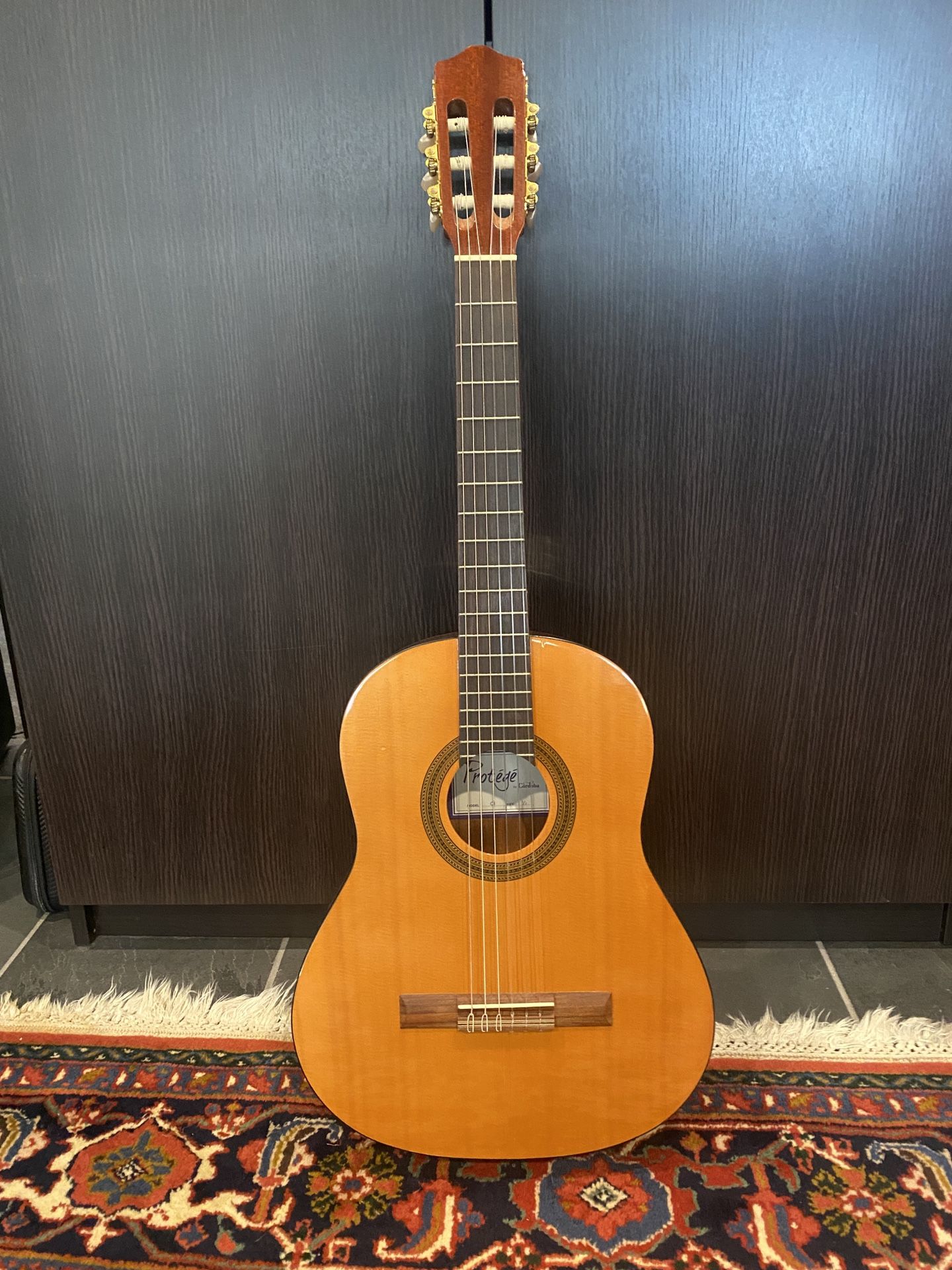 Nylon String Acoustic Guitar With Soft Case