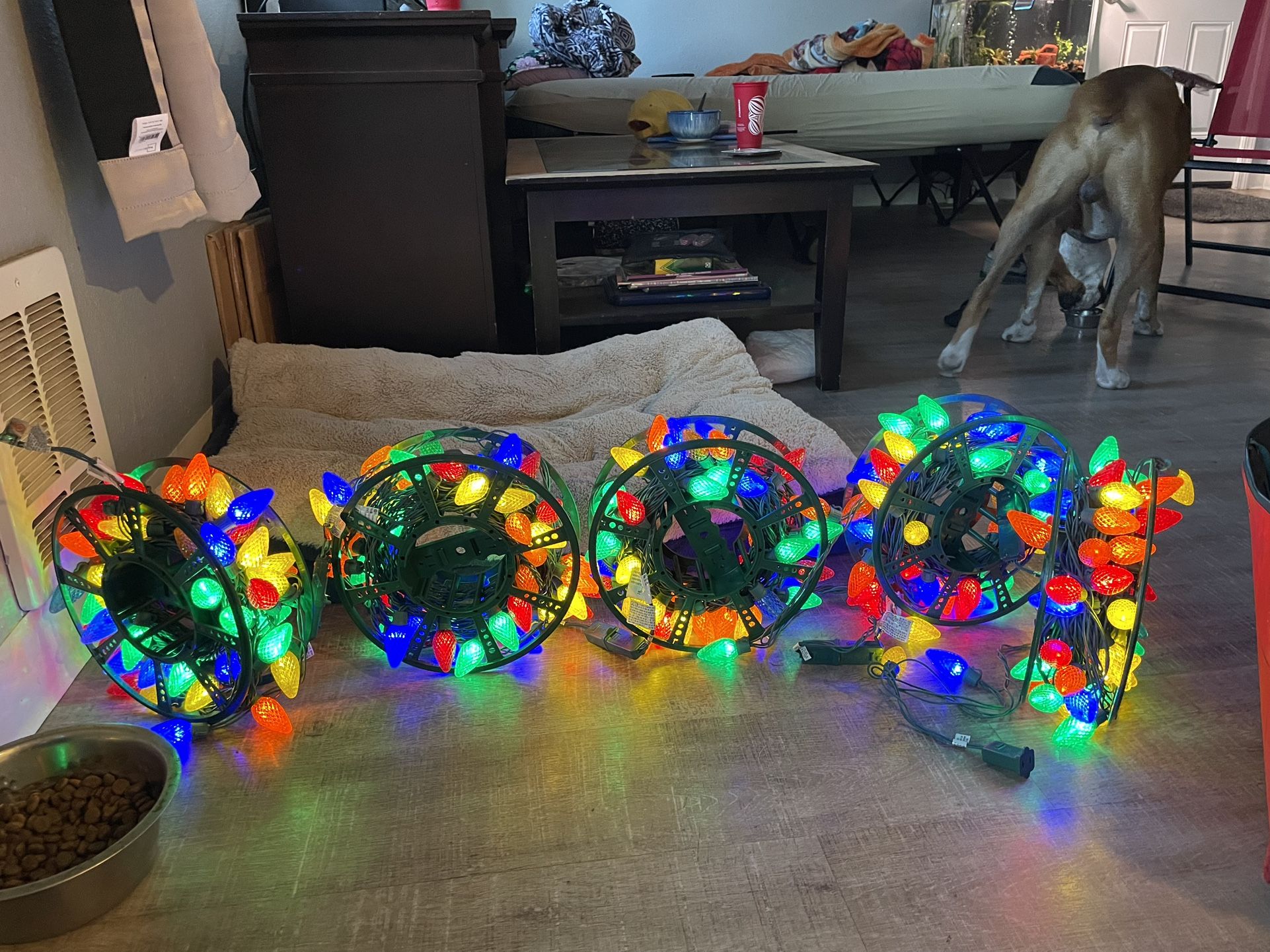 Outdoor Xmas Lights