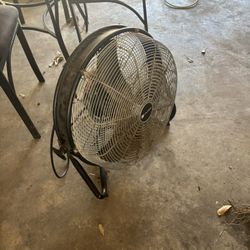 Fan 