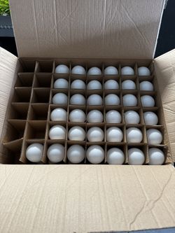 Light Bulbs