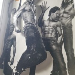🔥 MAGIC MIKE PICTURE FRAME Collectors Edition