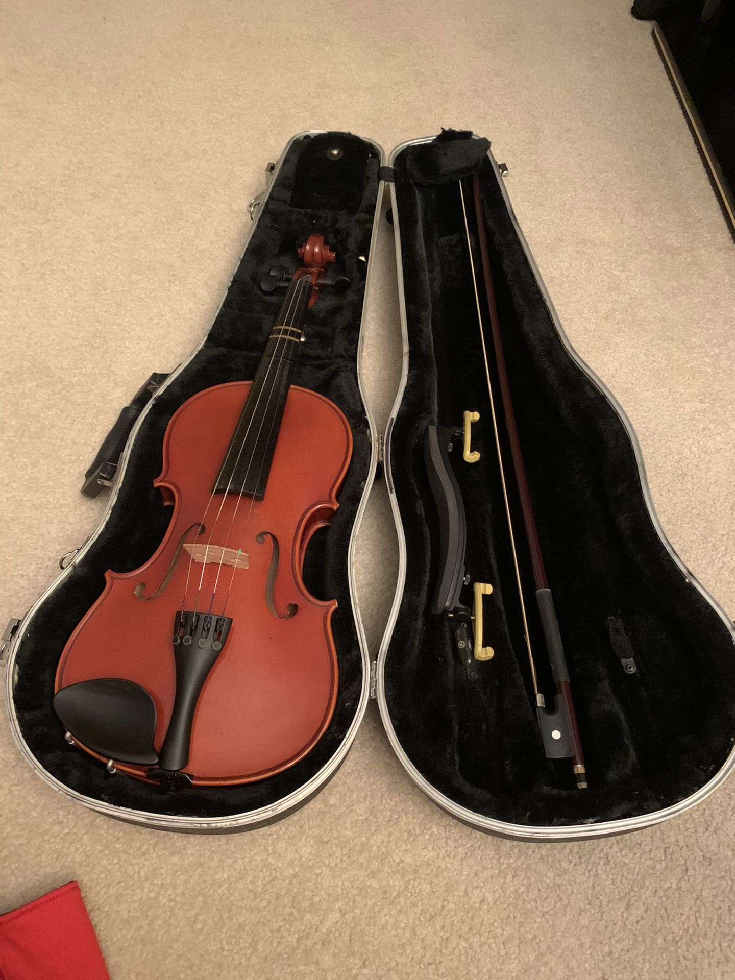Violin