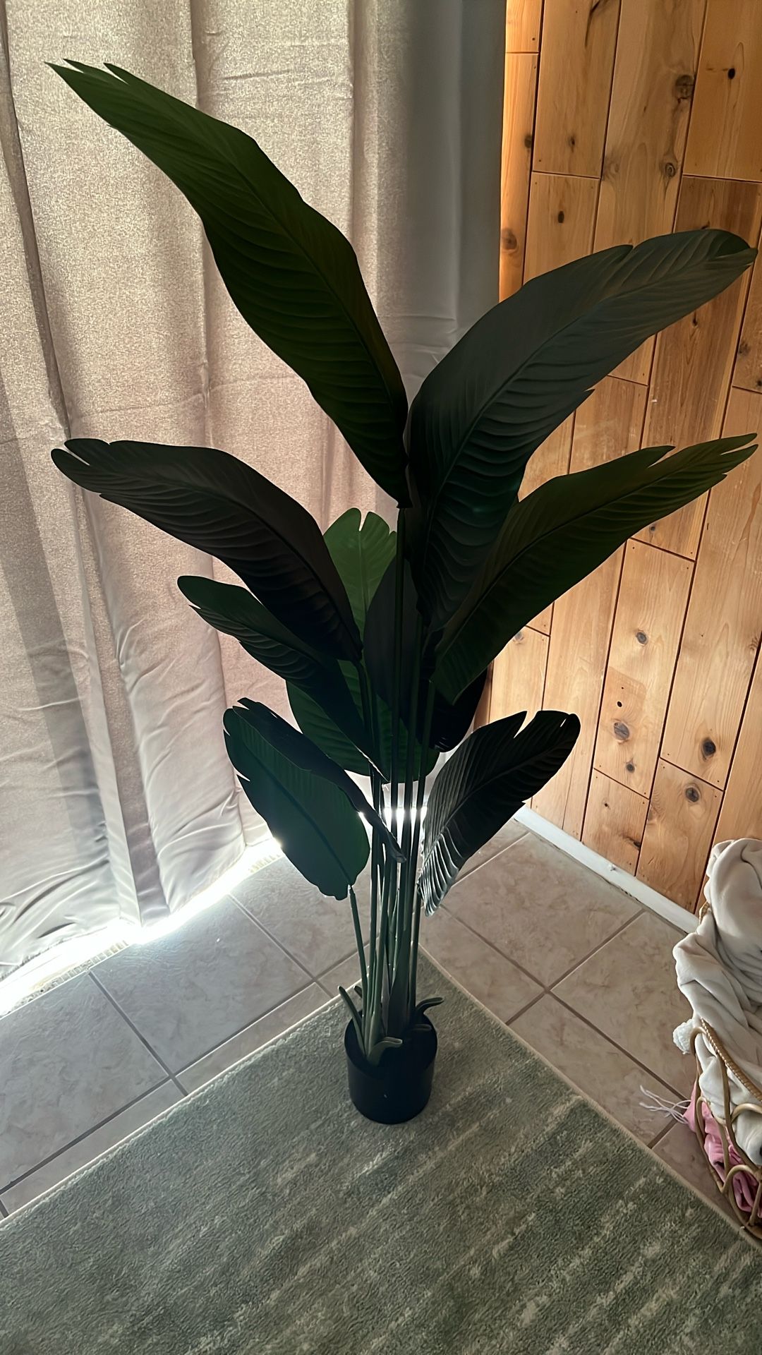 Fake Banana Leaf Plant