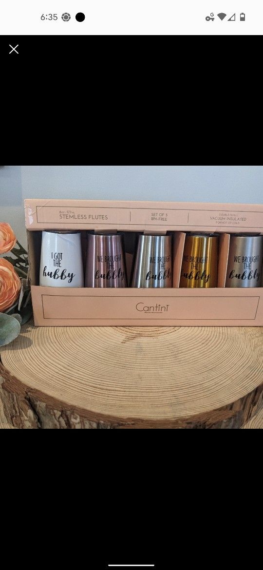 Set of 5 Bridal Party Champagne Flutes