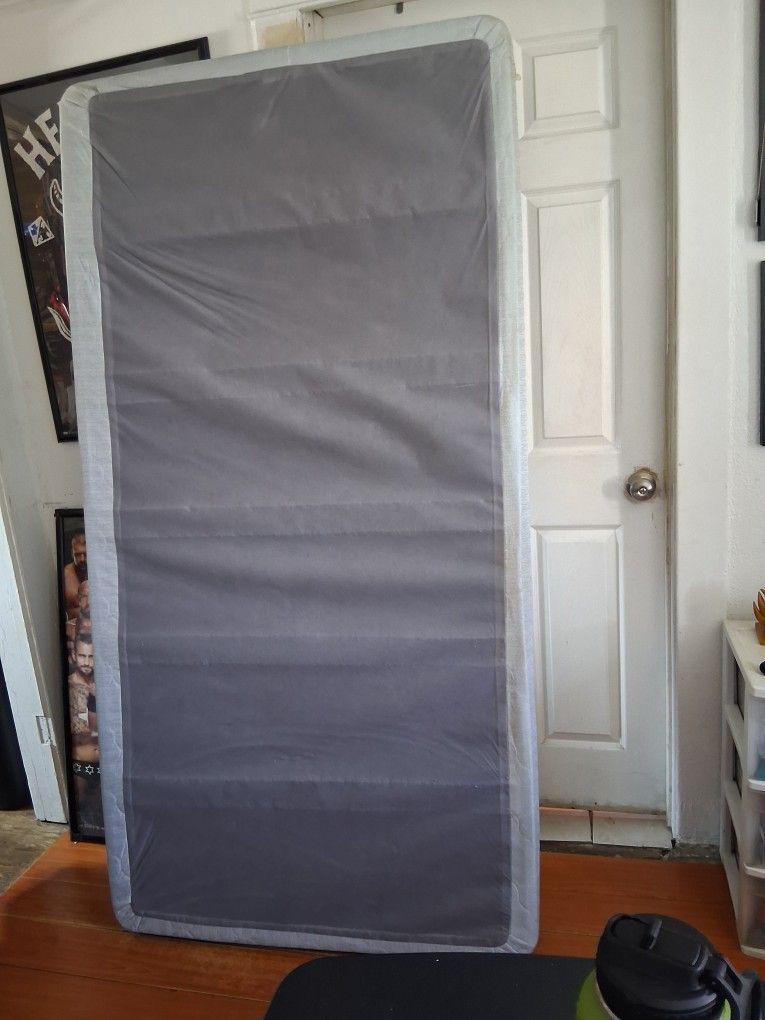 Twin Box Spring   FREE