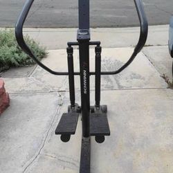 Schwinn Mountain Climber Elliptical Machine