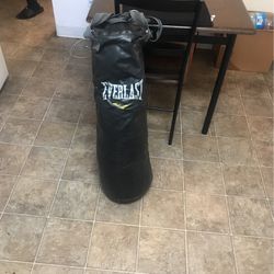 Everlast Boxers Punching Bag 