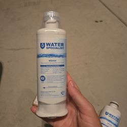 Water specialist WS6458 water filter  cross st 303 and Greenway