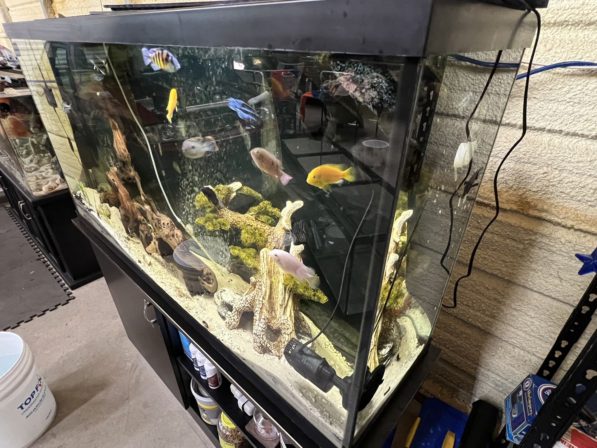 60 Gallon Tank Plus Stand And Filter Plus Stand