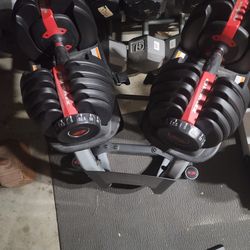 Bowflex adjustable dumbells with stand