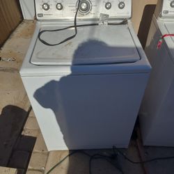 Labadora De Relok $99