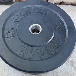 Rage Fitness 25lbs Weight 3 Available