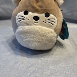 Squishmallows Rie the Otter Squishmallow 8 Inch Brown SQK2802 WITH WRONG TAGS!?!