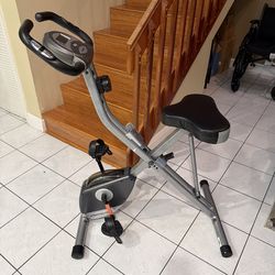 Exerpeuetic Exercise Bike