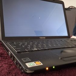 Toshiba Laptop