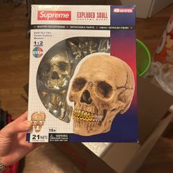 SUPREME SKULL (collectors Item)