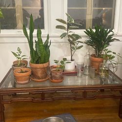 Vintage coffee table