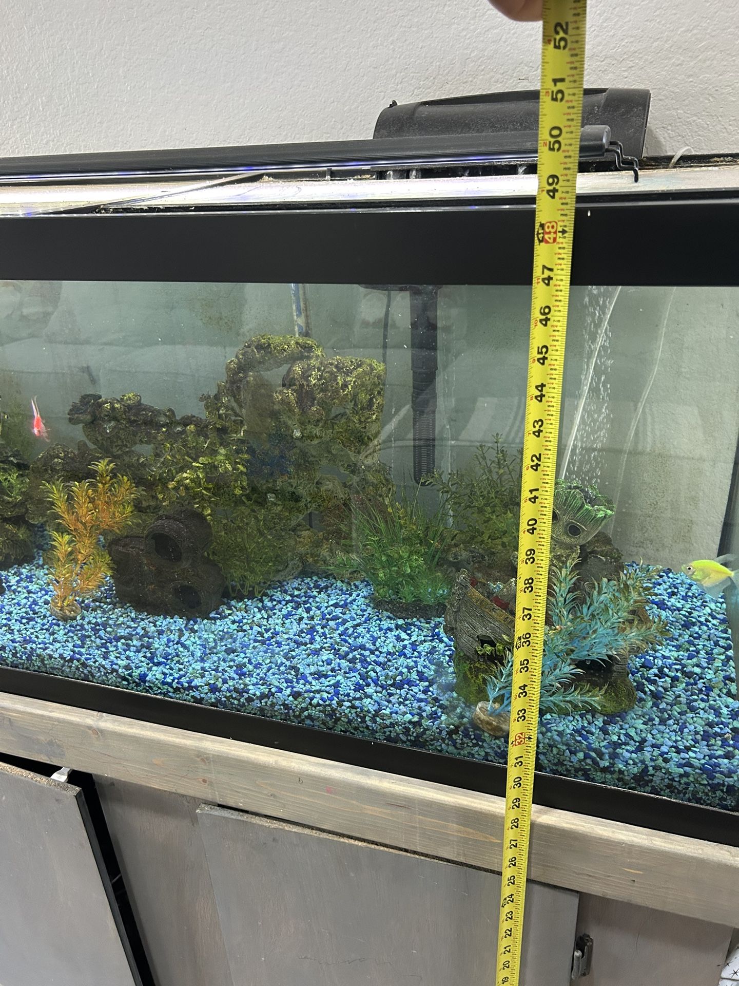 Fish Tank and All Accessories 300$