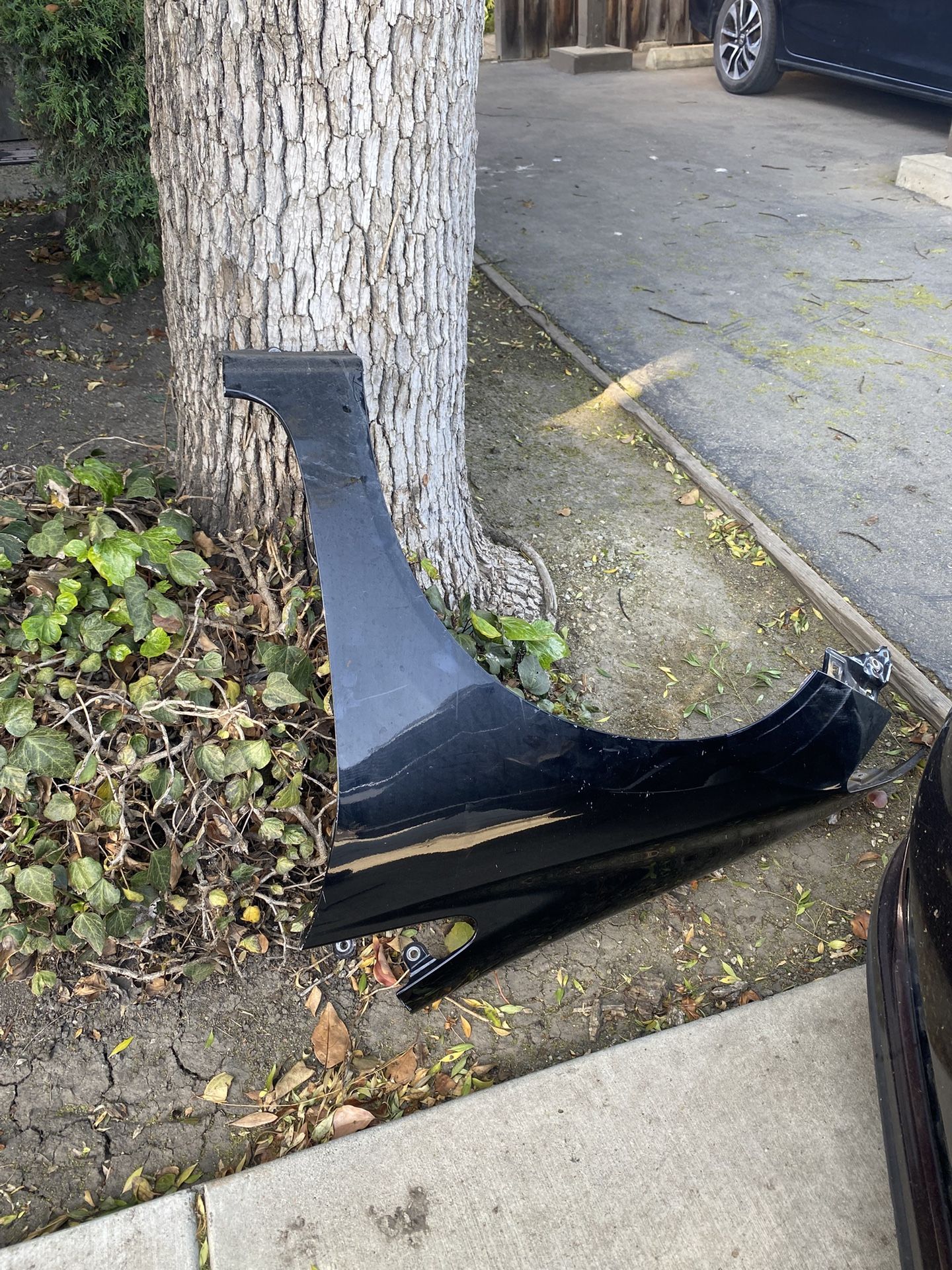 Honda Civic Driver Side Fender -Dented