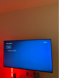 65 inch Vizio TV