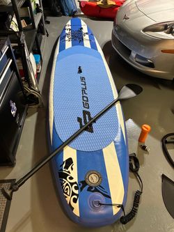 Paddle board